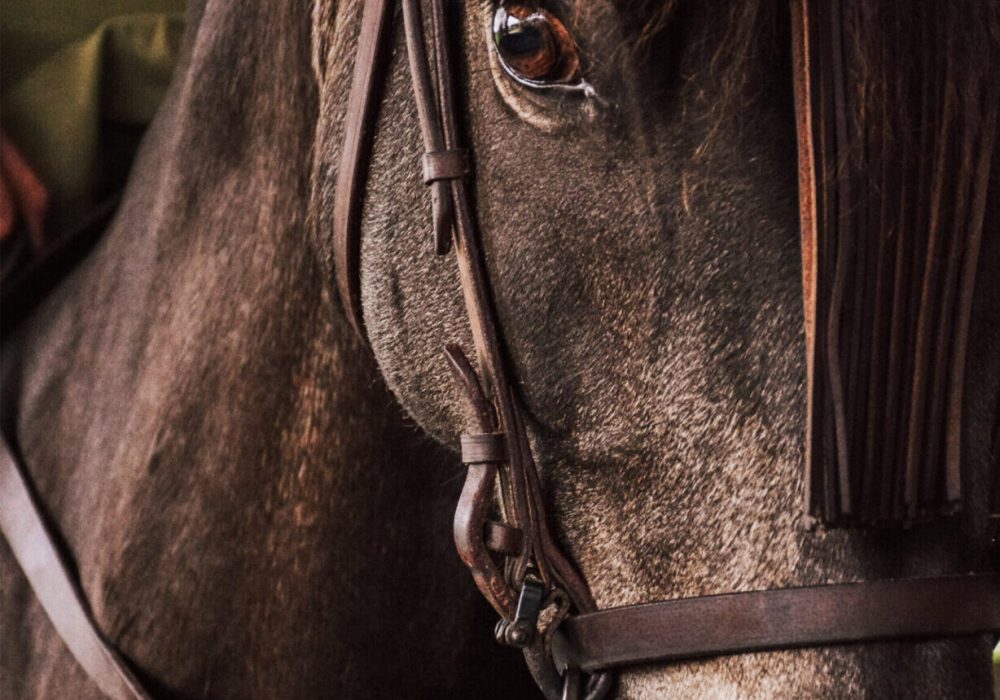 Vias Concept; Cheval de Feu